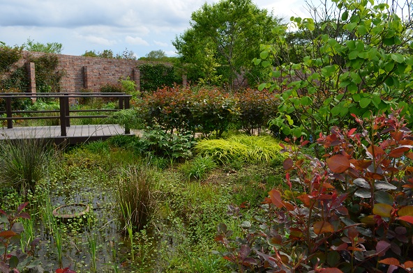 d0099791_2353718.jpg