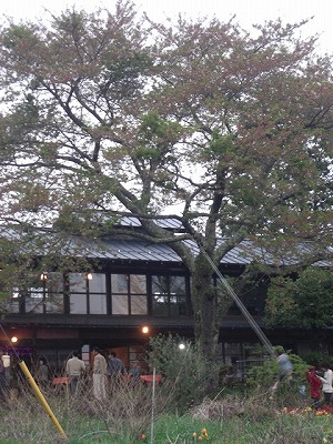 a0146295_1214166.jpg