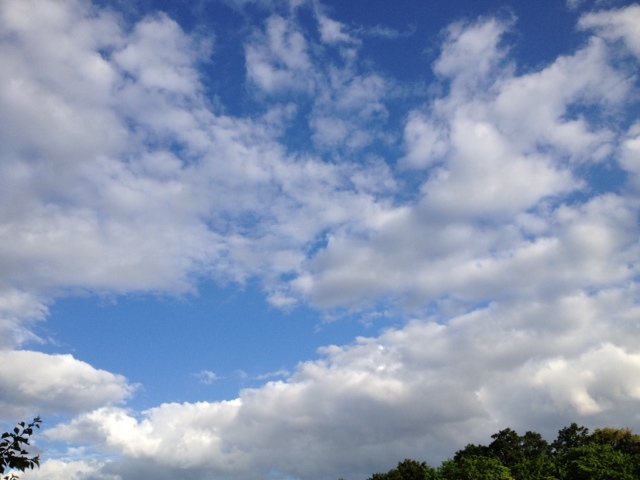 突然の雨のち晴れ_c0216197_17211752.jpg