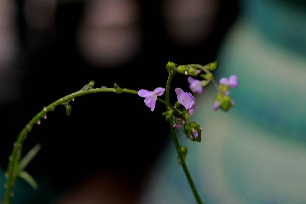 b0024798_10253132.jpg