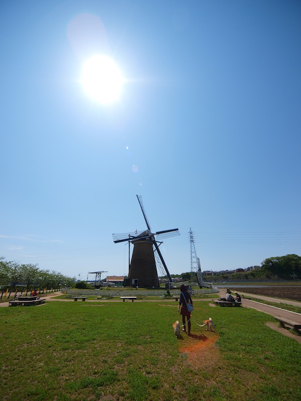 f0109601_15182445.jpg