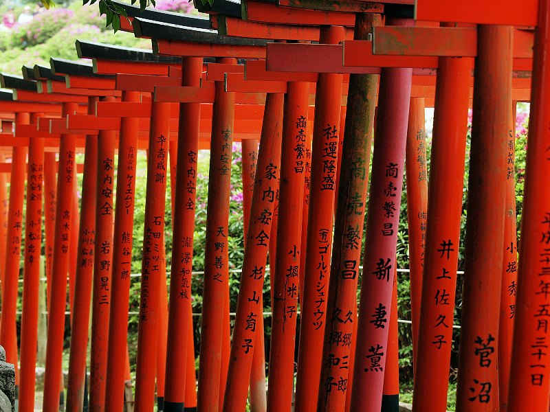 根津神社のツツジ　１_b0231705_21195333.jpg