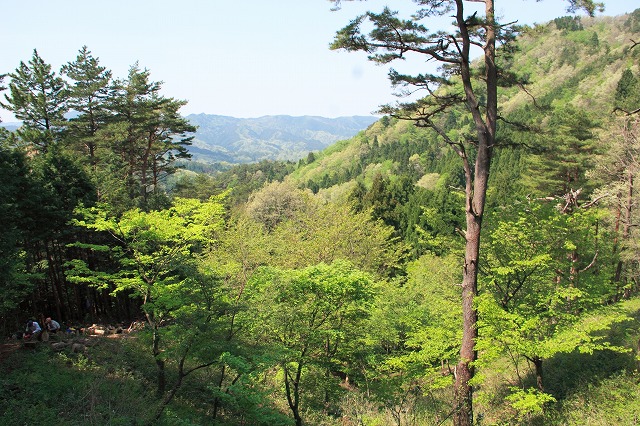 f0011412_16124460.jpg