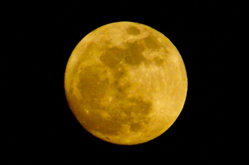 b0053414_19541347.jpg
