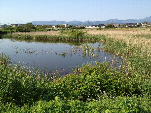 北九州地区　池・川散策　ラフ・メイカー_e0002314_19104620.jpg