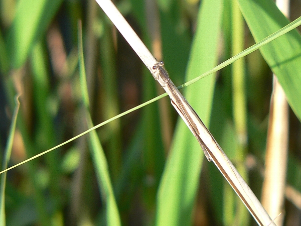 e0002314_19162743.jpg