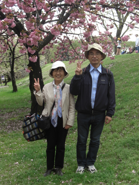 満開の八重桜とケーナでリフレッシュ_e0260114_236133.jpg