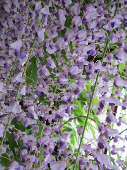 f0143521_122775.jpg