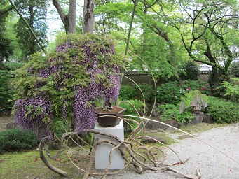 f0143521_123236.jpg