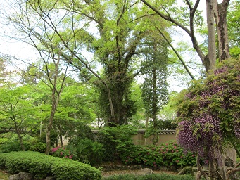 f0143521_127326.jpg