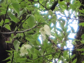 f0143521_243667.jpg
