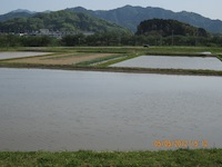 f0147922_16134247.jpg