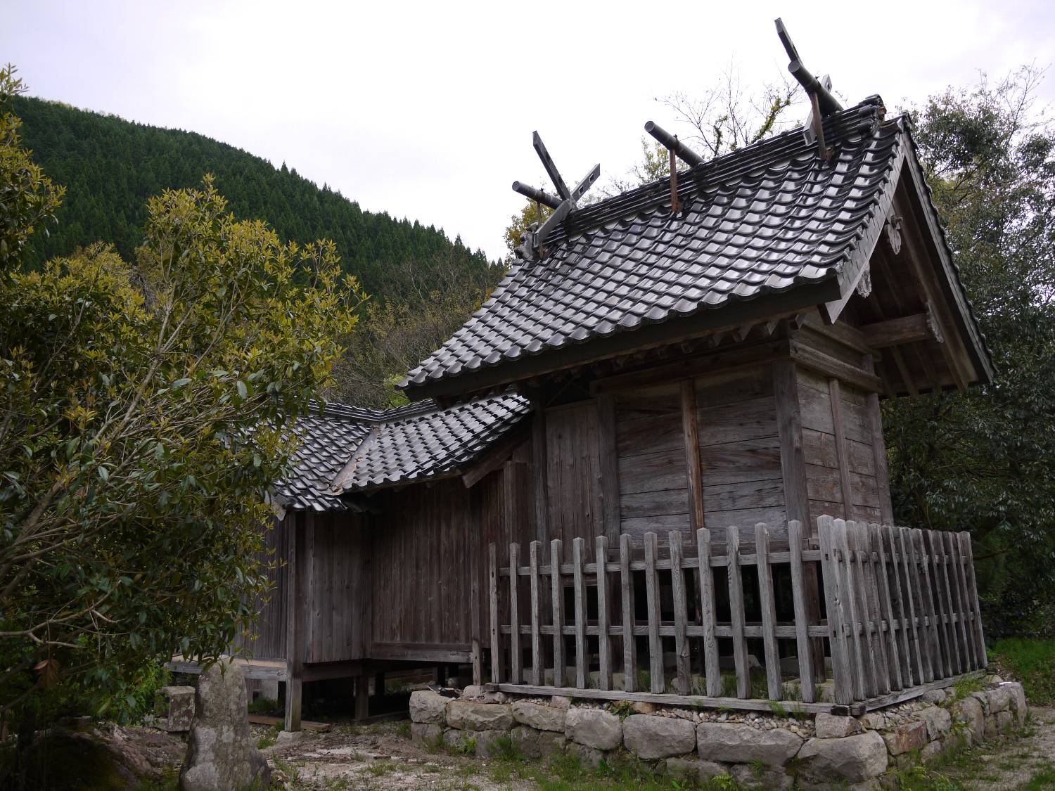 b0069128_8393728.jpg
