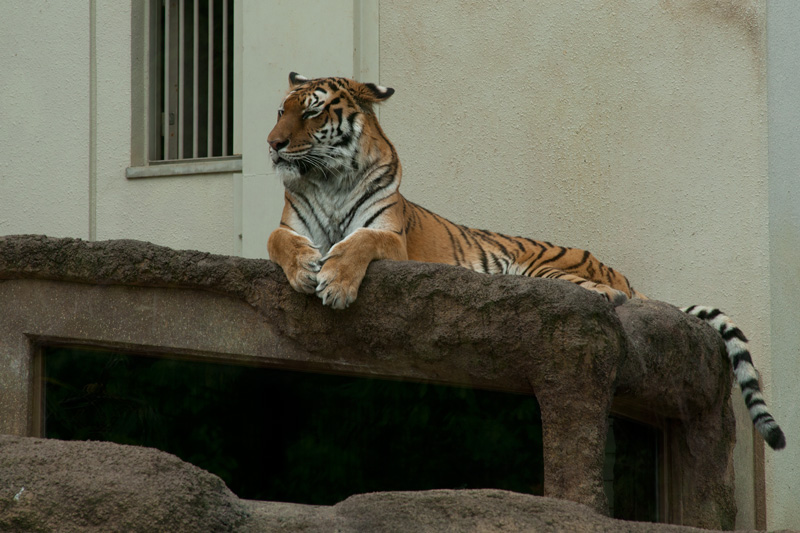 b0177233_505150.jpg