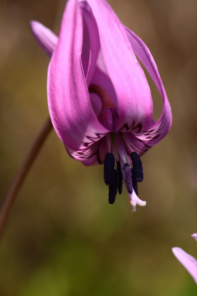e0150433_1862411.jpg