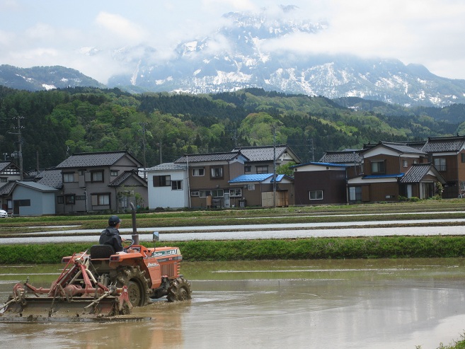 田植え始まる_f0224736_125052100.jpg