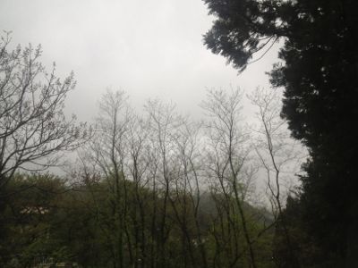 b0038638_23342116.jpg
