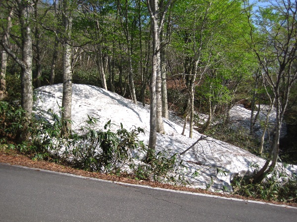 b0149340_221406.jpg