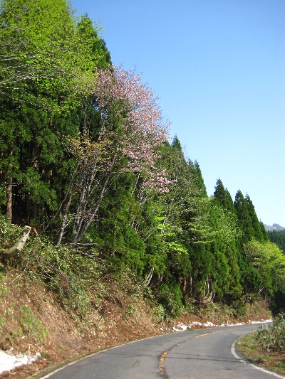 b0149340_2224046.jpg