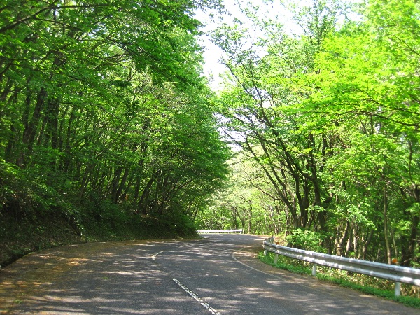 b0149340_2254416.jpg