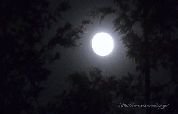 f0045844_21152975.jpg
