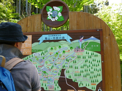 高山・市民の森☆ハイキング_a0235145_2161979.jpg