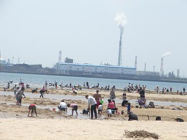 高松海岸へ潮干狩り はっぴ かふぇ 高松海岸へ潮干狩り はっぴ かふぇ