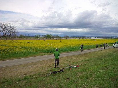 a0096557_158999.jpg