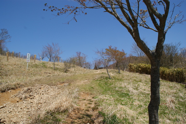 b0241761_20322278.jpg