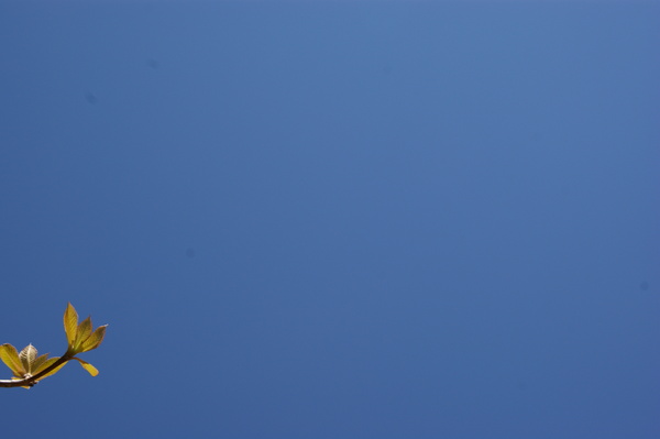 b0241761_20324425.jpg