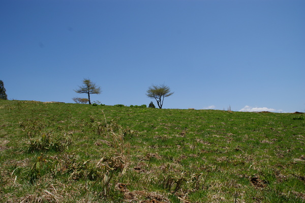 b0241761_2035334.jpg