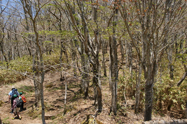 b0241761_20355994.jpg