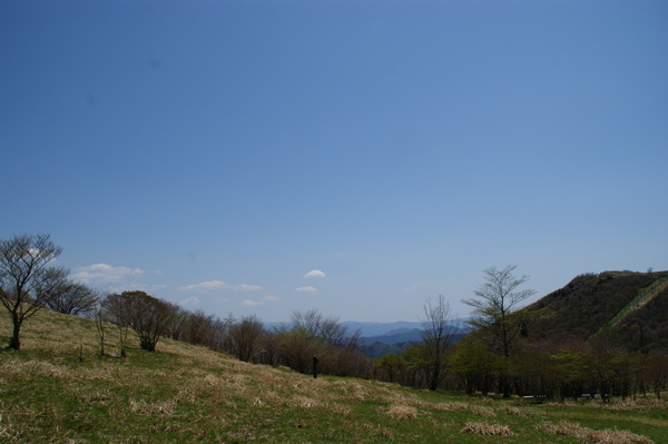 b0241761_2035822.jpg