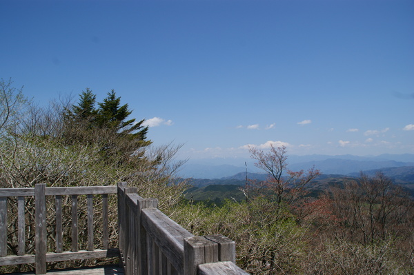 b0241761_20384972.jpg