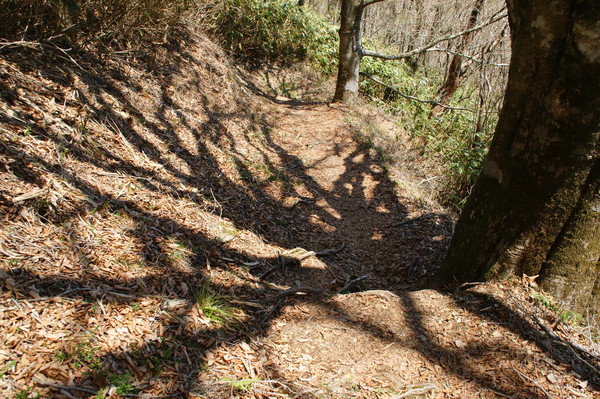 b0241761_20414226.jpg