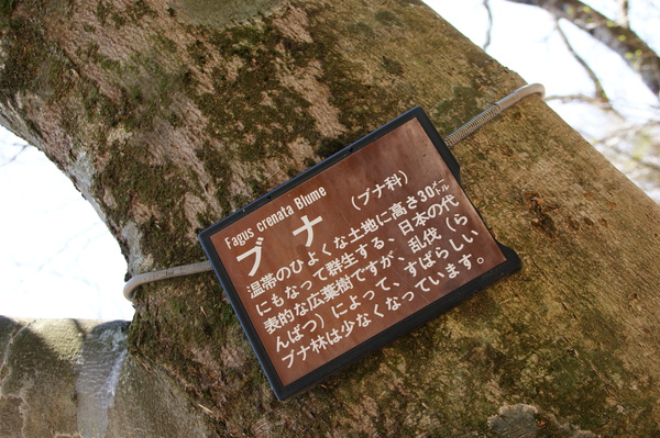 b0241761_20441951.jpg
