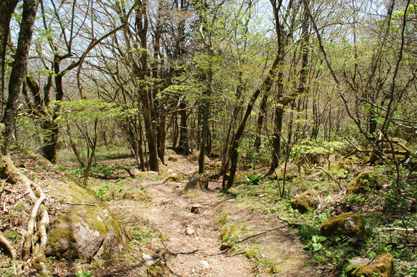 b0241761_20451414.jpg