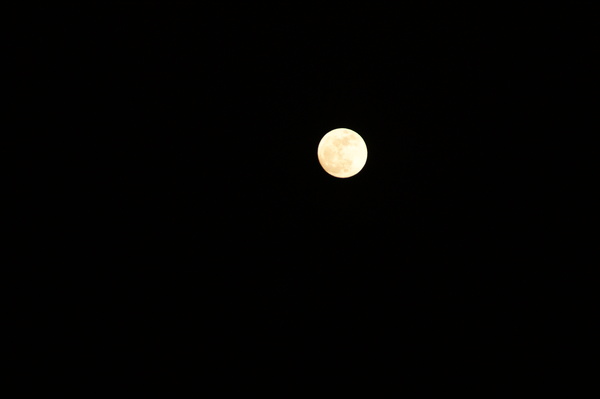 b0241761_216638.jpg