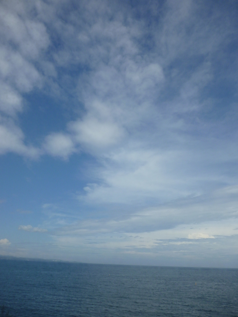 a0053662_1356443.jpg