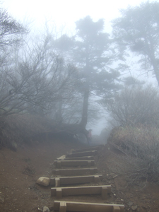 c0011862_21202337.jpg