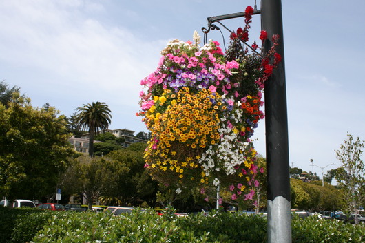 c0115366_12515623.jpg