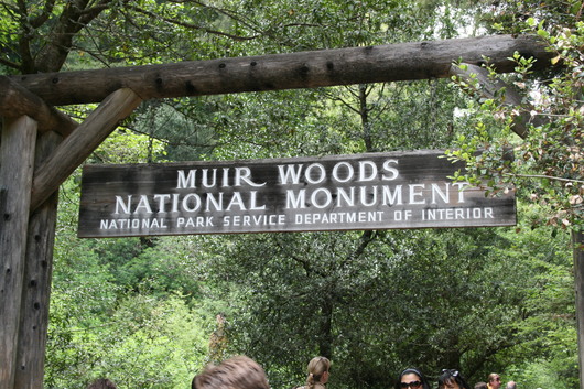 c0115366_13122248.jpg
