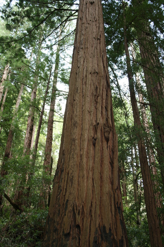 c0115366_13223128.jpg
