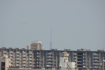 e0095468_202642100.jpg