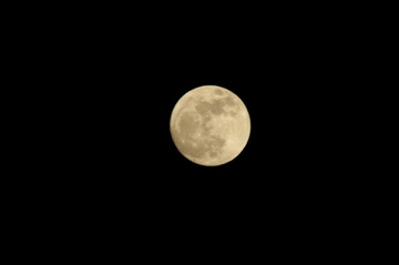 e0095468_2155757.jpg