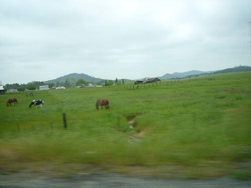 d0193569_711287.jpg