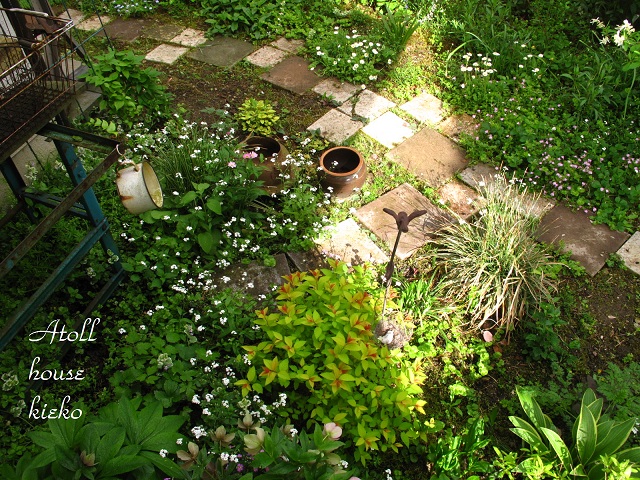 a0139570_2374688.jpg
