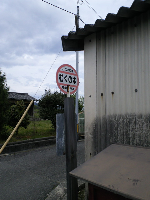 c0001670_12385751.jpg