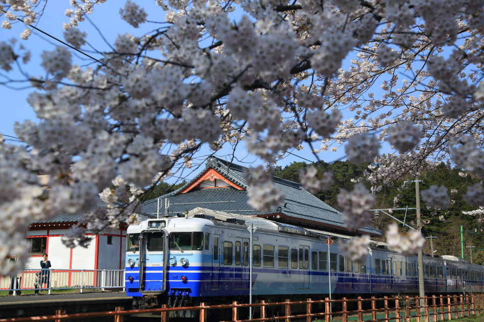 桜と電車（３）_e0096372_546085.jpg