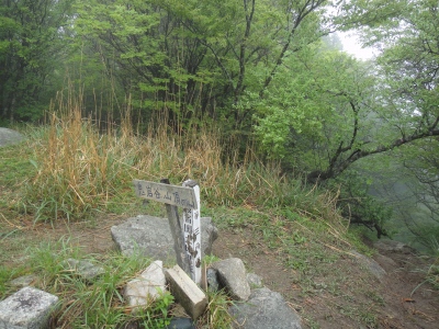 d0182075_64011.jpg